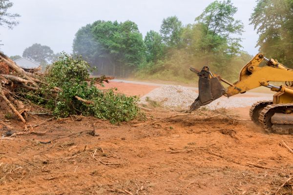 Ground Clearing in Norwalk