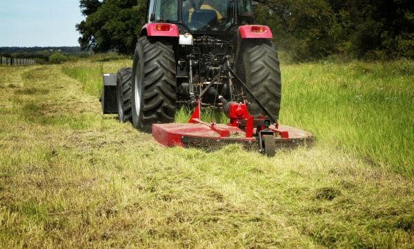 Brush Clearing Service in Norwalk