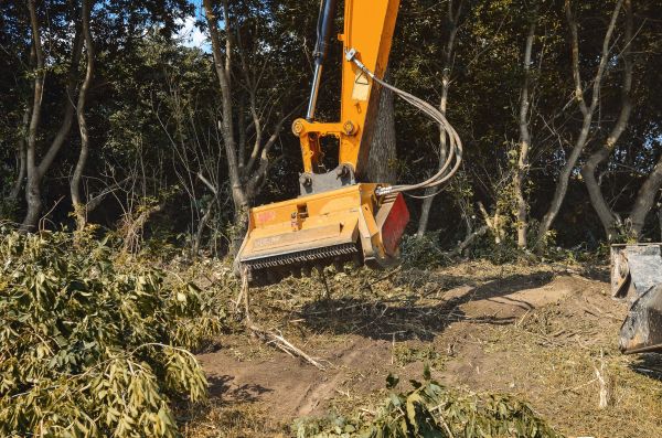 Brush Removal Service in Norwalk