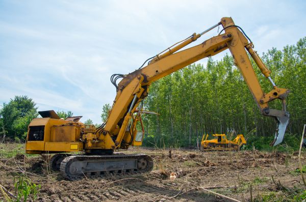 Cost of Farm Clearing in Norwalk