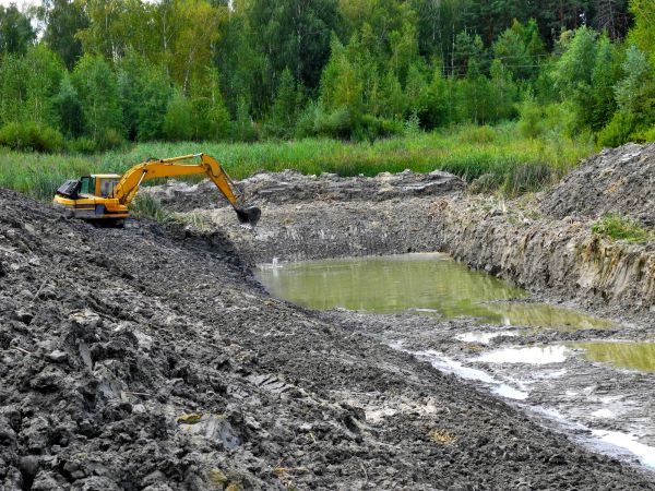 Cost of Lake Lot Clearing in Norwalk