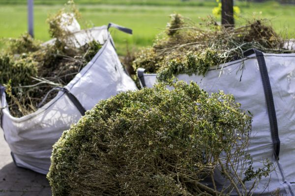 Cost of Bushes Clearing in Norwalk