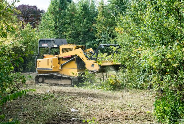 Cost of Pathway Clearing in Norwalk
