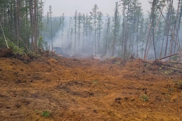 Cost of Hill Clearing in Norwalk
