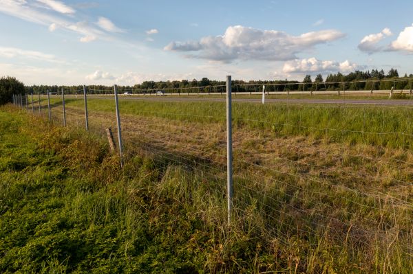 Cost of Property Line Clearing in Norwalk