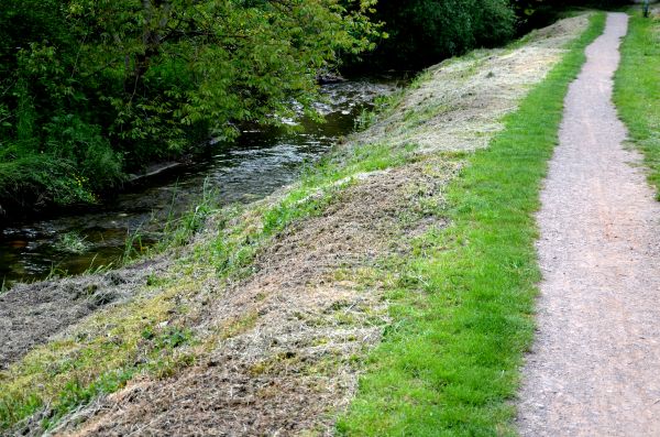 Cost of Trail Cutting in Norwalk
